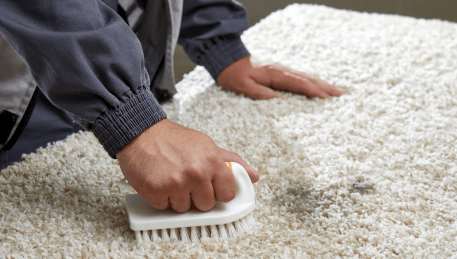 Professional Rug Cleaning Wildwood